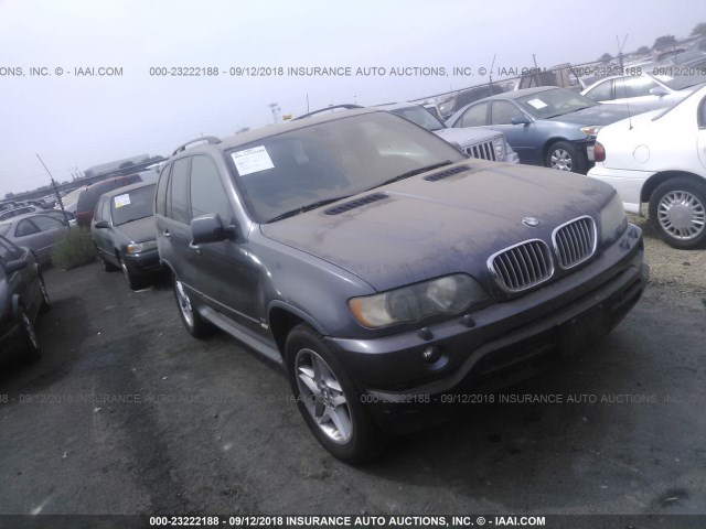 5UXFB335X3LH45338 - 2003 BMW X5 4.4I GRAY photo 1