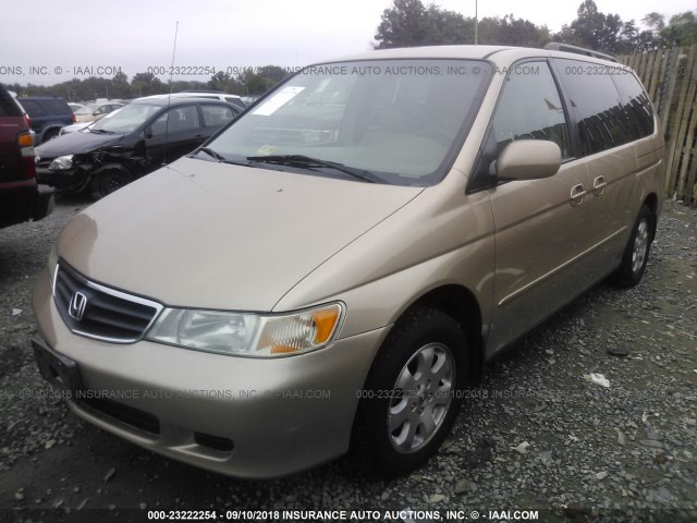 2HKRL18952H011380 - 2002 HONDA ODYSSEY EXL BEIGE photo 2