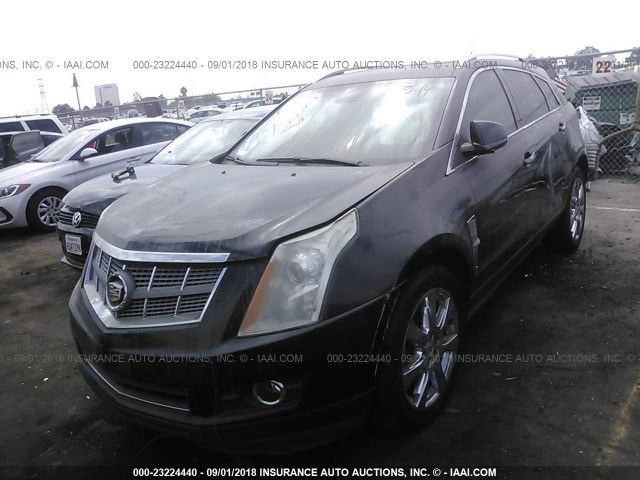 3GYFNBEY7AS647845 - 2010 CADILLAC SRX PERFORMANCE COLLECTION Қара фото 2