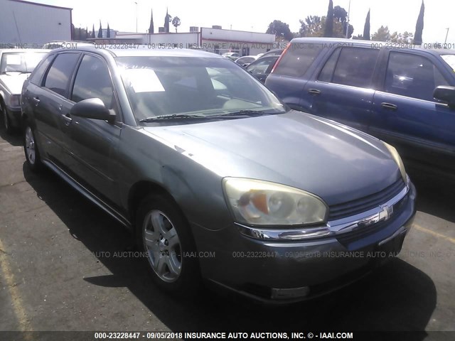 1G1ZU64834F164272 - 2004 CHEVROLET MALIBU MAXX LT GRAY photo 1