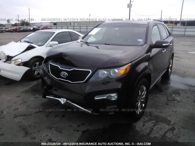 5XYKW4A25BG137172 - 2011 KIA SORENTO SX BURGUNDY photo 2