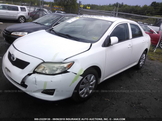 JTDBL40EX99020199 - 2009 TOYOTA COROLLA LE/XLE WHITE photo 2