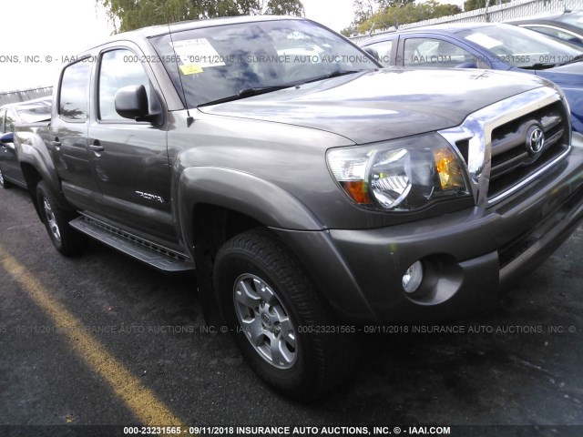 3TMJU62N49M086833 - 2009 TOYOTA TACOMA DOUBLE CAB PRERUNNER GOLD photo 1