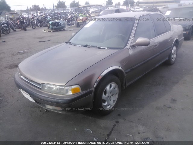 JHMCB7651MC044174 - 1991 HONDA ACCORD LX/EX BROWN photo 2