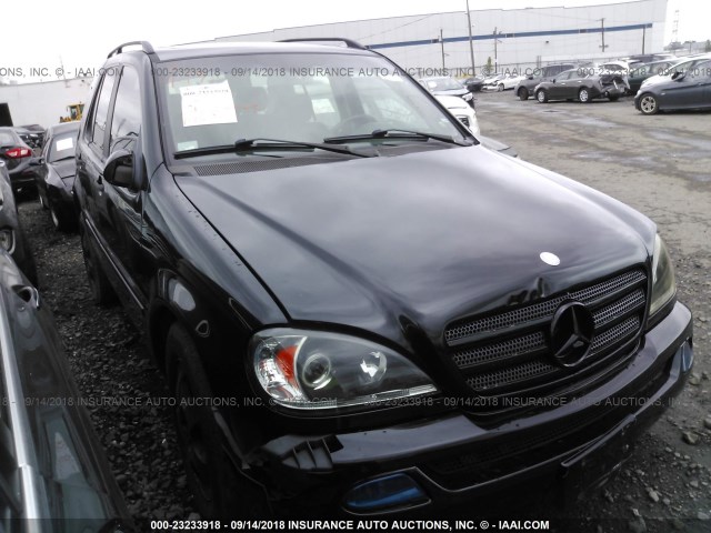 4JGAB54E02A294042 - 2002 MERCEDES-BENZ ML 320 BLACK photo 1