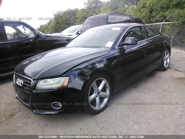 WAUDK78T09A013256 - 2009 AUDI A5 QUATTRO BLACK photo 2