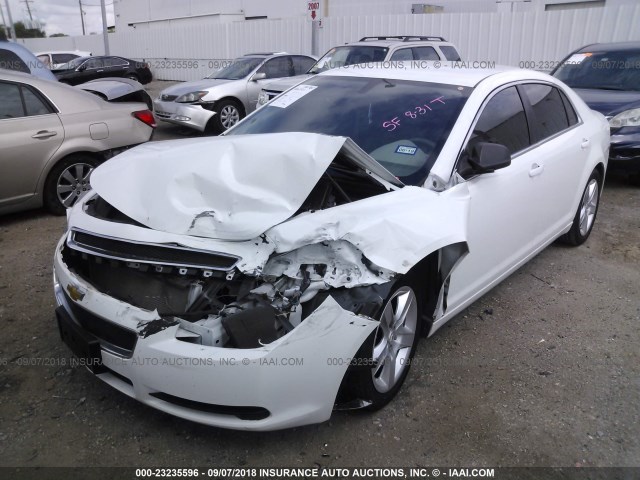 1G1ZA5EU5CF208608 - 2012 CHEVROLET MALIBU LS Ağ foto 2