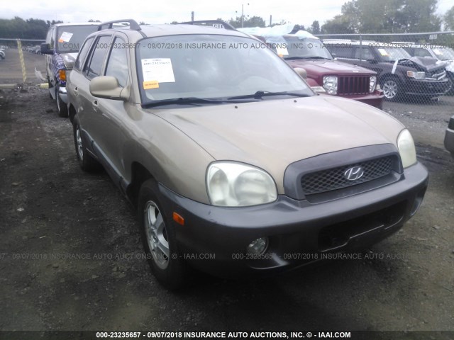 KM8SC13E43U556186 - 2003 HYUNDAI SANTA FE BEIGE photo 6