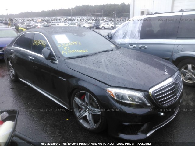 WDDUG7JB3EA033846 - 2014 MERCEDES-BENZ S 63 AMG GRAY photo 1