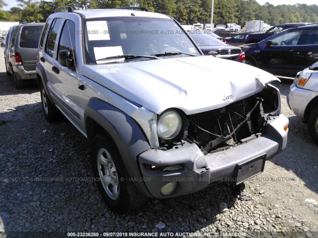 1J4GL48K53W733868 - 2003 JEEP LIBERTY SPORT/FREEDOM ვერცხლისფერი ფოტო 6