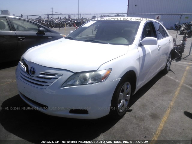4T4BE46KX9R110653 - 2009 TOYOTA CAMRY SE/LE/XLE 白色 照片 2