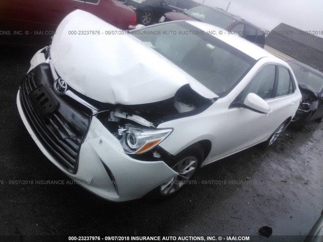 4T1BF1FK3HU781943 - 2017 TOYOTA CAMRY LE/XLE/SE/XSE 白色 照片 2