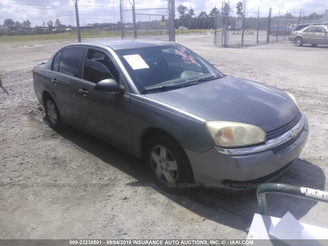 1G1ZT52835F297938 - 2005 CHEVROLET MALIBU LS GRAY photo 1