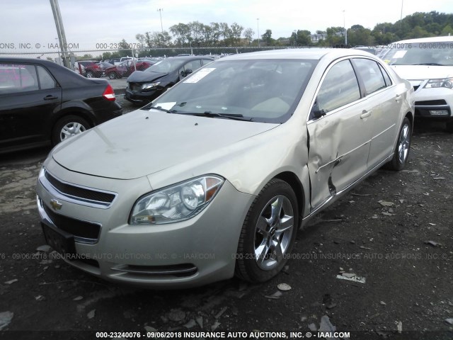 1G1ZC5EBXAF125441 - 2010 CHEVROLET MALIBU 1LT GOLD photo 2