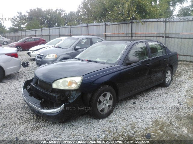 1G1ZT52875F292970 - 2005 CHEVROLET MALIBU LS BLUE photo 2
