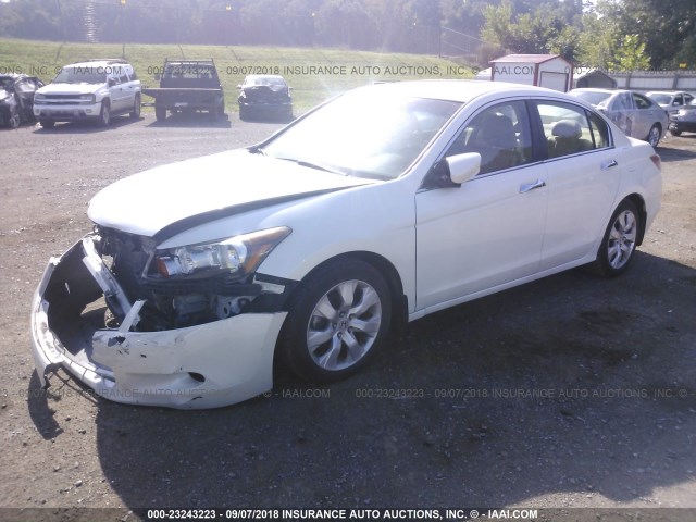 5KBCP3F89AB008139 - 2010 HONDA ACCORD EXL WHITE photo 2