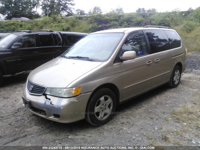 2HKRL18691H604387 - 2001 HONDA ODYSSEY EX GOLD photo 2