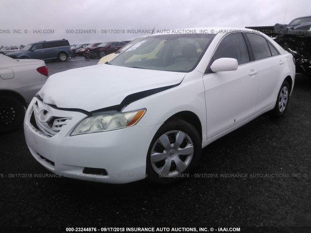 4T1BE46K77U570974 - 2007 TOYOTA CAMRY NEW GENERAT CE/LE/XLE/SE WHITE photo 2