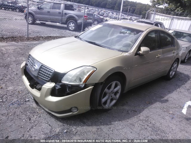 1N4BA41E14C872690 - 2004 NISSAN MAXIMA SE/SL GOLD photo 2