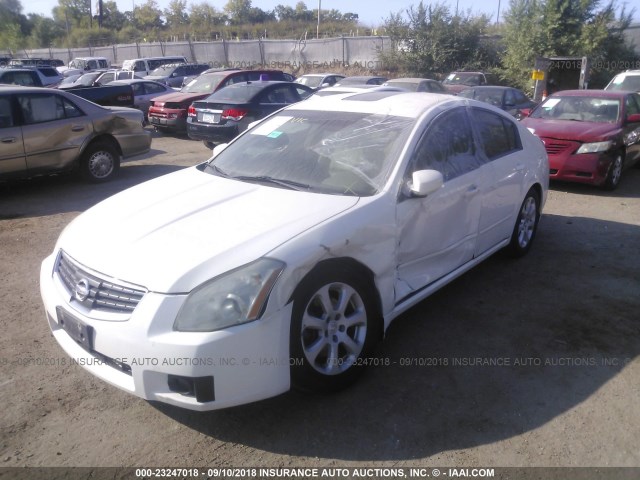 1N4BA41E87C817366 - 2007 NISSAN MAXIMA SE/SL WHITE photo 2