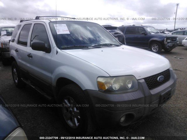 1FMYU03147KA75385 - 2007 FORD ESCAPE XLT WHITE photo 1