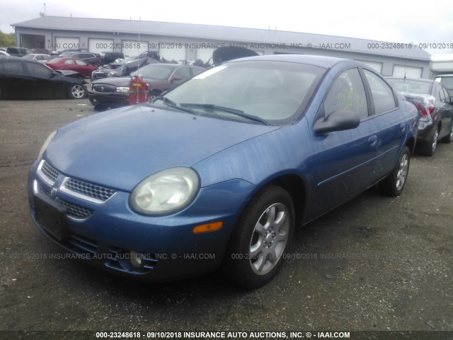 1B3AS56C03D200842 - 2003 DODGE NEON SXT 蓝色 照片 2