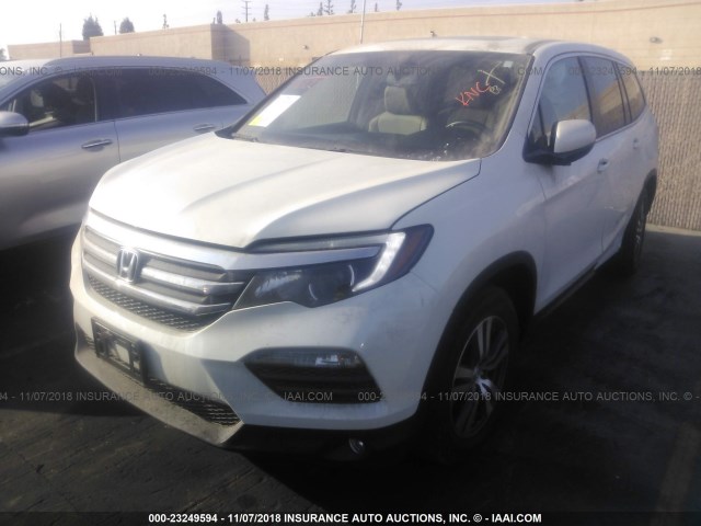 5FNYF5H7XGB034409 - 2016 HONDA PILOT EXLN WHITE photo 2