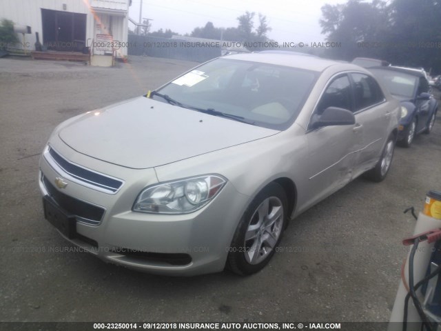 1G1ZB5E19BF158796 - 2011 CHEVROLET MALIBU LS Bej foto 2