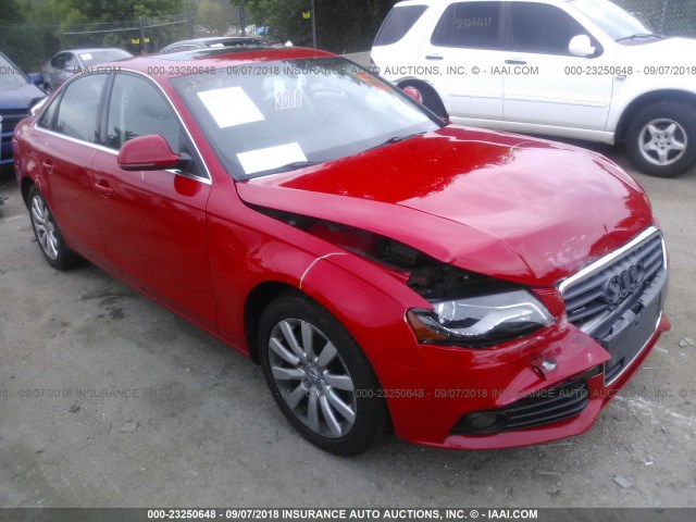 WAUSF78K59N025253 - 2009 AUDI A4 PREMIUM PLUS RED photo 1