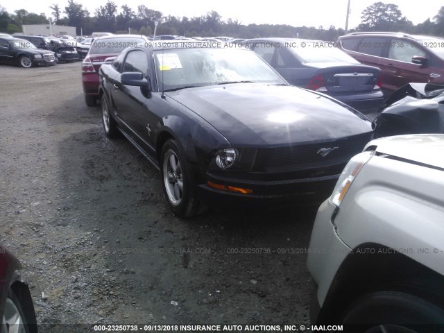 1ZVFT80N565243937 - 2006 FORD MUSTANG BLACK photo 1