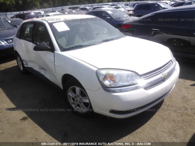 1G1ZT628X5F289499 - 2005 CHEVROLET MALIBU MAXX LS 白色 照片 1