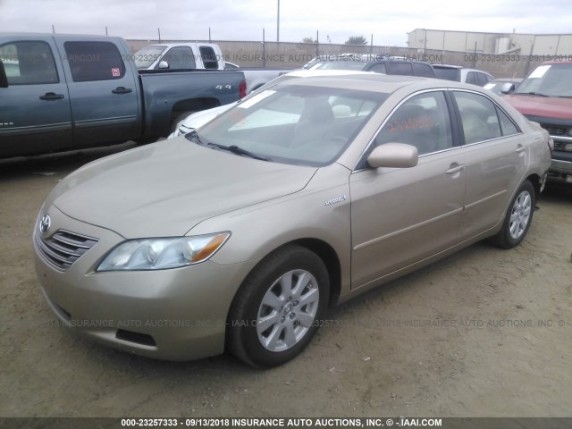 4T1BB46K28U036419 - 2008 TOYOTA CAMRY HYBRID GOLD photo 2