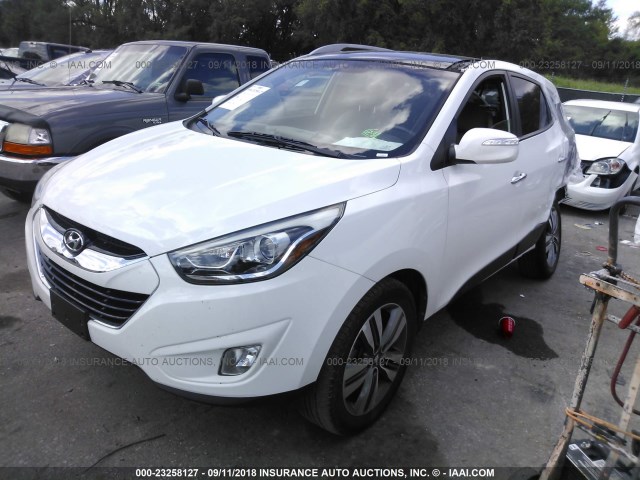 KM8JUCAG8FU954496 - 2015 HYUNDAI TUCSON LIMITED/SE WHITE photo 2