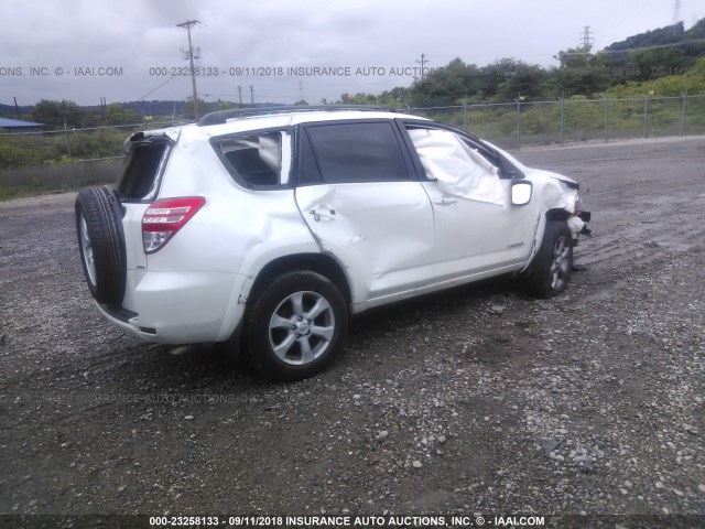 2T3DF4DV9BW112842 - 2011 TOYOTA RAV4 LIMITED WHITE photo 4