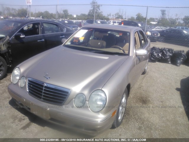 WDBJF65J92B396894 - 2002 MERCEDES-BENZ E 320 GOLD photo 2