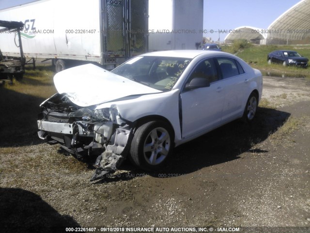 1G1ZB5EB1A4113631 - 2010 CHEVROLET MALIBU LS თეთრი ფოტო 2