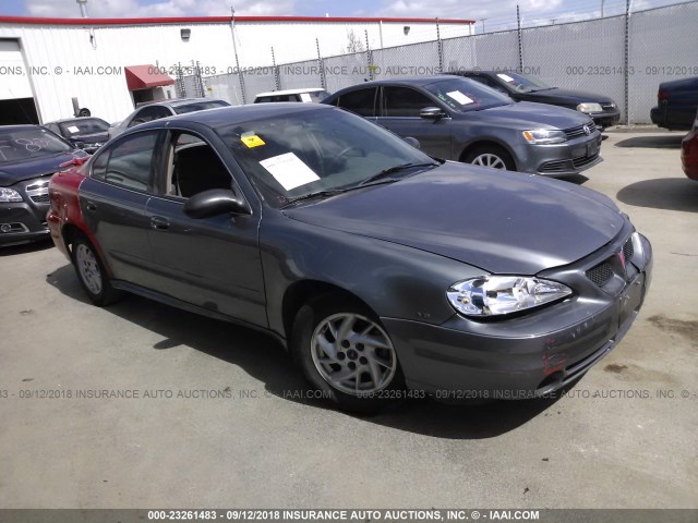 1G2NF52E24C216533 - 2004 PONTIAC GRAND AM SE1 GRAY photo 1