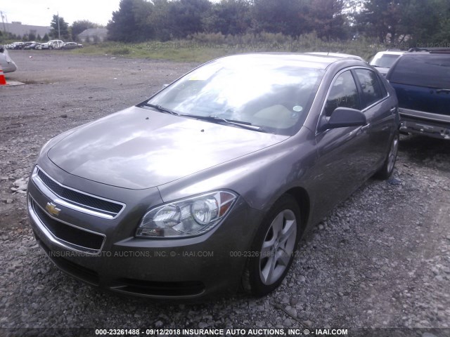 1G1ZB5EB8AF243409 - 2010 CHEVROLET MALIBU LS ნაცრისფერი ფოტო 2