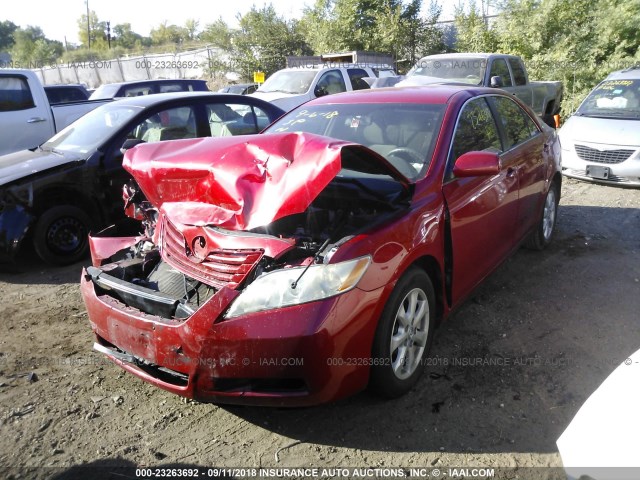 4T1BE46K37U117855 - 2007 TOYOTA CAMRY NEW GENERAT CE/LE/XLE/SE RED photo 2