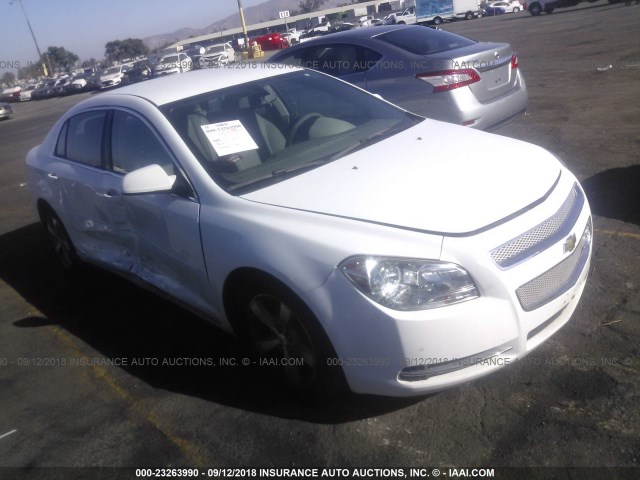 1G1ZC5E18BF357741 - 2011 CHEVROLET MALIBU 1LT თეთრი ფოტო 1