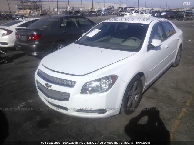 1G1ZC5E18BF357741 - 2011 CHEVROLET MALIBU 1LT თეთრი ფოტო 2