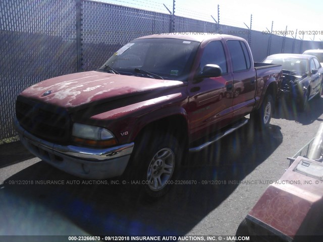 1B7HG2AN51S286583 - 2001 DODGE DAKOTA QUAD RED photo 2