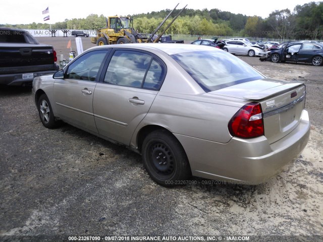 1G1ZT52825F276207 - 2005 CHEVROLET MALIBU LS ოქროსფერი ფოტო 3