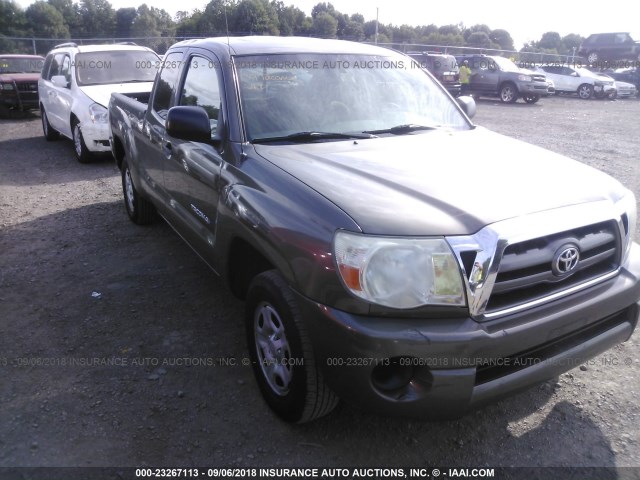 5TETX22N69Z621396 - 2009 TOYOTA TACOMA ACCESS CAB TAN photo 1