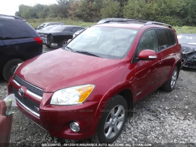 2T3BK31V39W009234 - 2009 TOYOTA RAV4 LIMITED RED photo 2