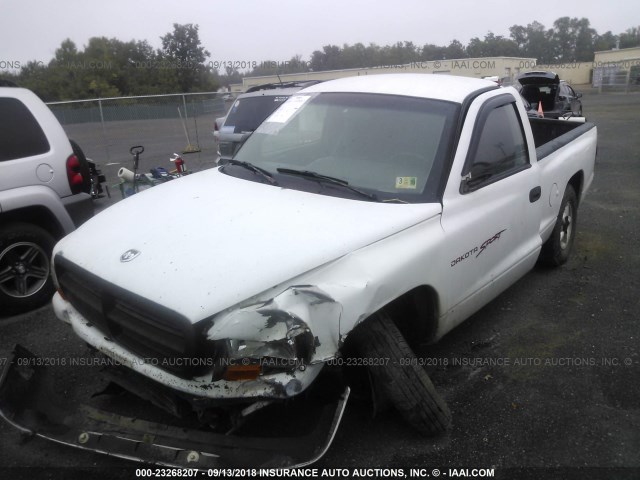 1B7FL26X6WS662941 - 1998 DODGE DAKOTA WHITE photo 2