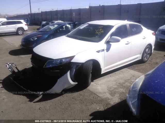 KNAGM4AD2D5061836 - 2013 KIA OPTIMA HYBRID WHITE photo 2