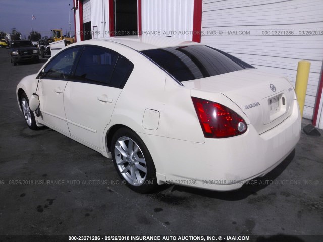 1N4BA41E54C858047 - 2004 NISSAN MAXIMA SE/SL CREAM photo 3