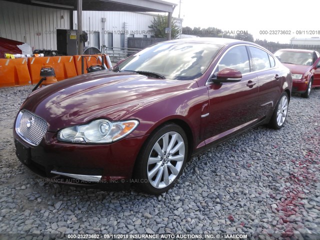 SAJWA0GBXALR58188 - 2010 JAGUAR XF PREMIUM BURGUNDY photo 2