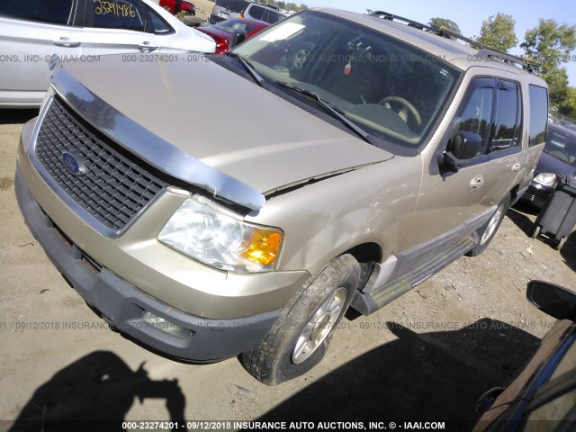 1FMFU16596LA75855 - 2006 FORD EXPEDITION XLT TAN photo 2